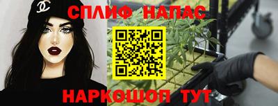 молекула духа Донской