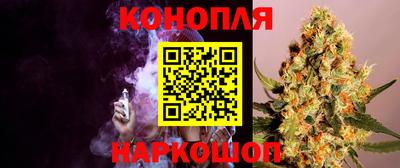 молекула духа Донской