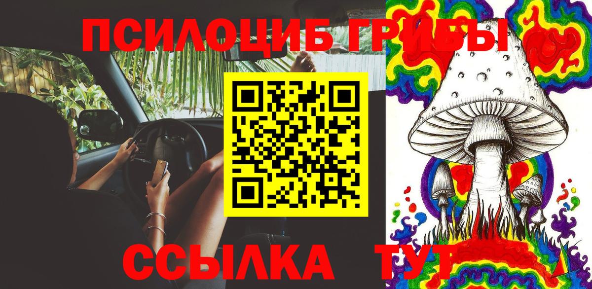 Мичуринск  Псилоцибиновые грибы прущие грибы  Вход с VPN  Псилоцибиновые грибы Magic Shrooms 